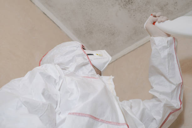 Best Industrial Mold Remediation in Corcoran, CA