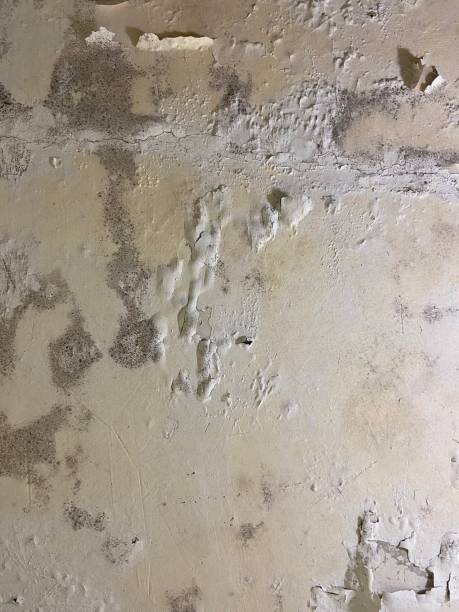 Best Residential Mold Remediation in Corcoran, CA
