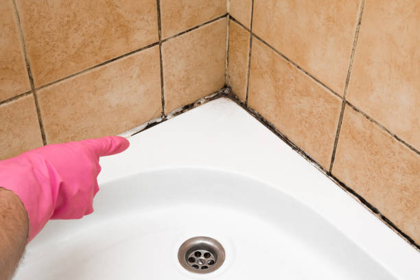 Best Emergency Mold Remediation in Corcoran, CA
